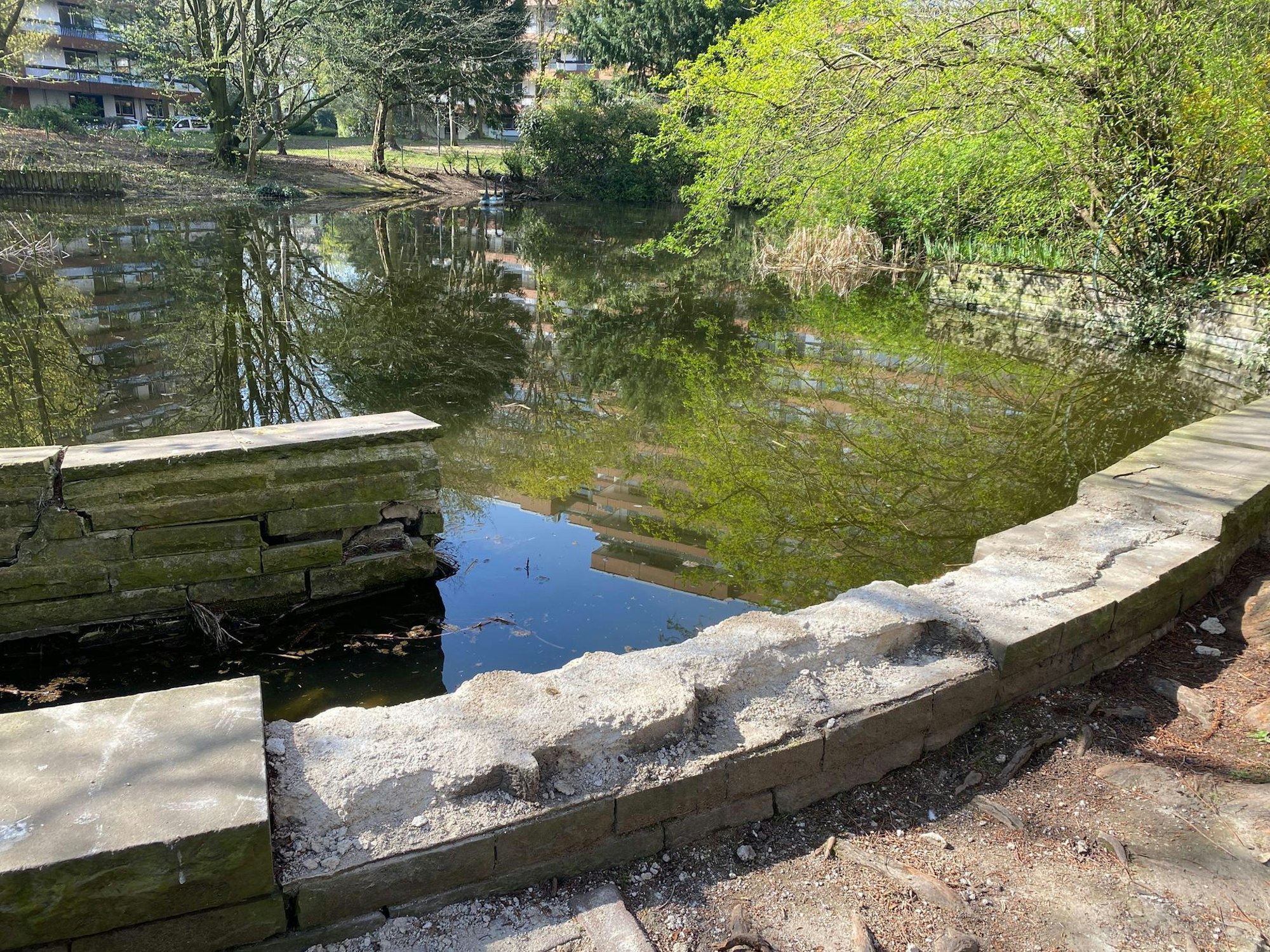 Teich Bayenthaler Wohnpark2