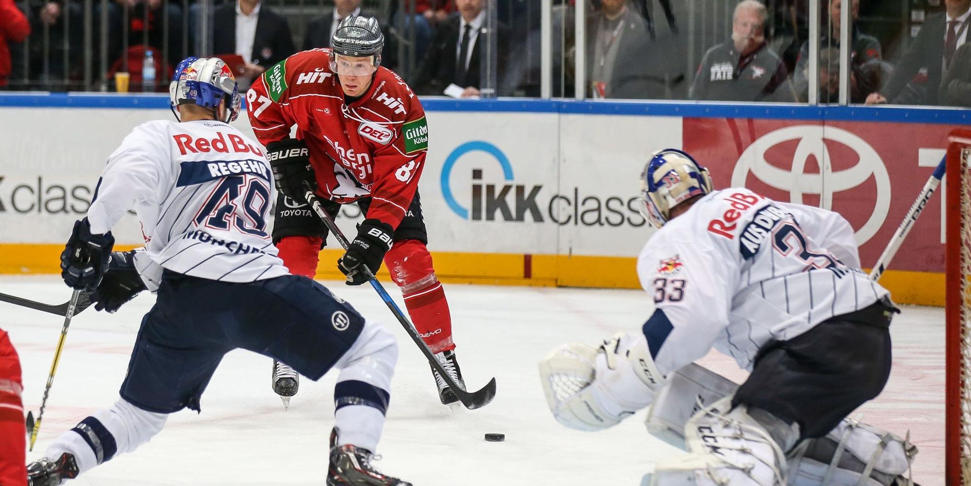 Haie_Muenchen_Horn