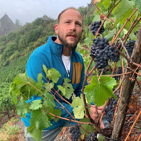 2022-09-15-WOR-ahr-Weinlese-sermann-001