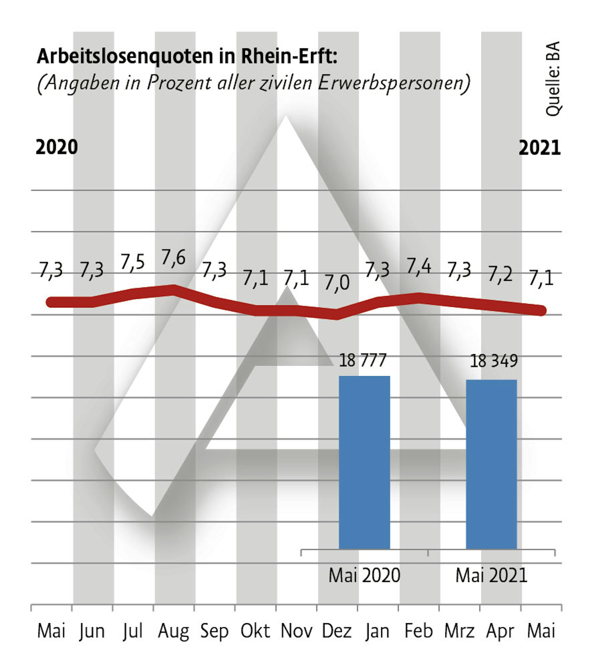 alose-RheinErft-0106