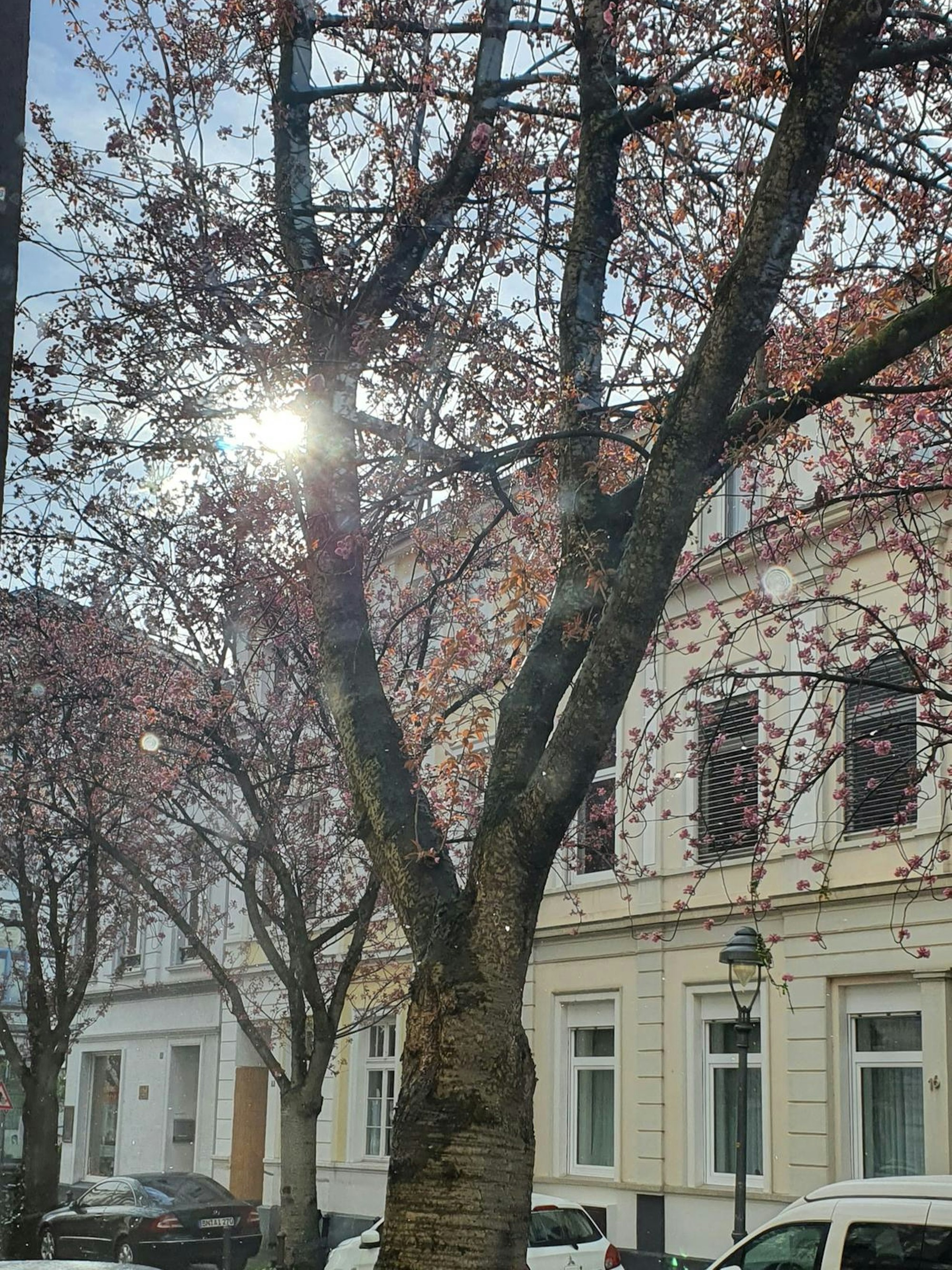Sonne_nach_Schneetreiben_Altstadt_Bonn