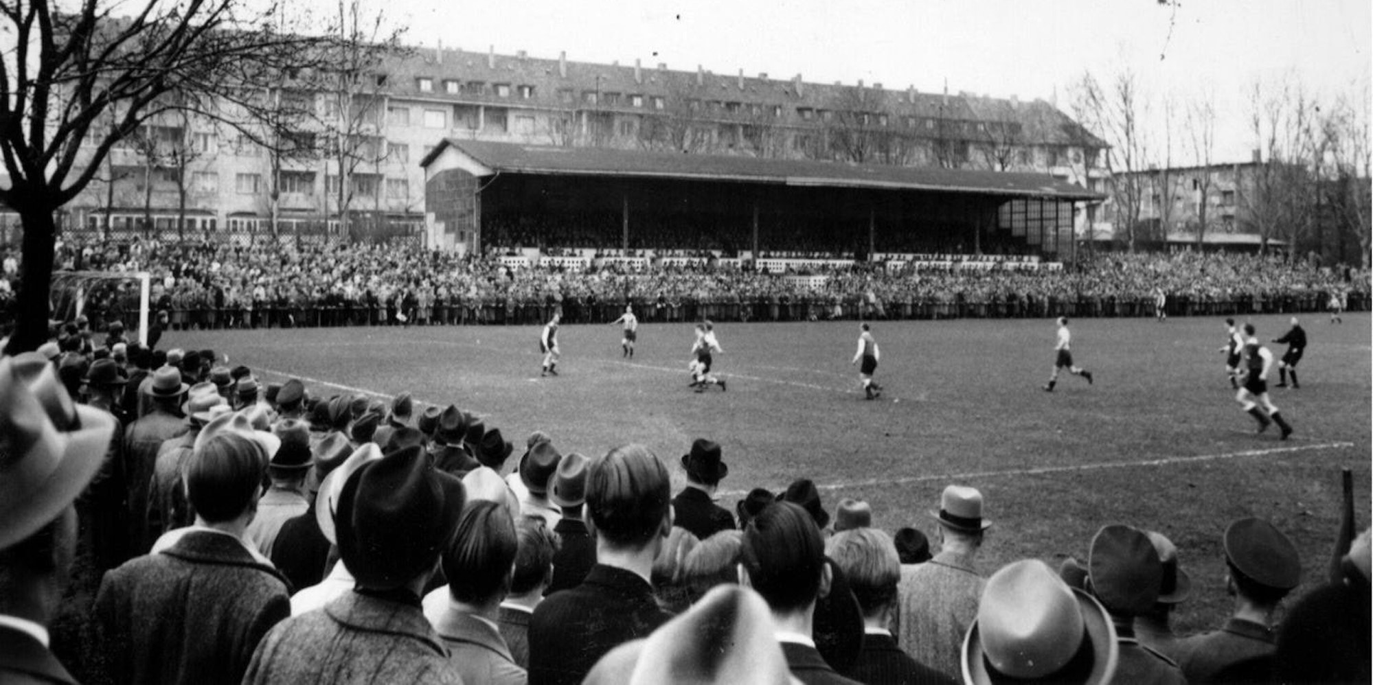 01KBO_22_71-119909160_ori