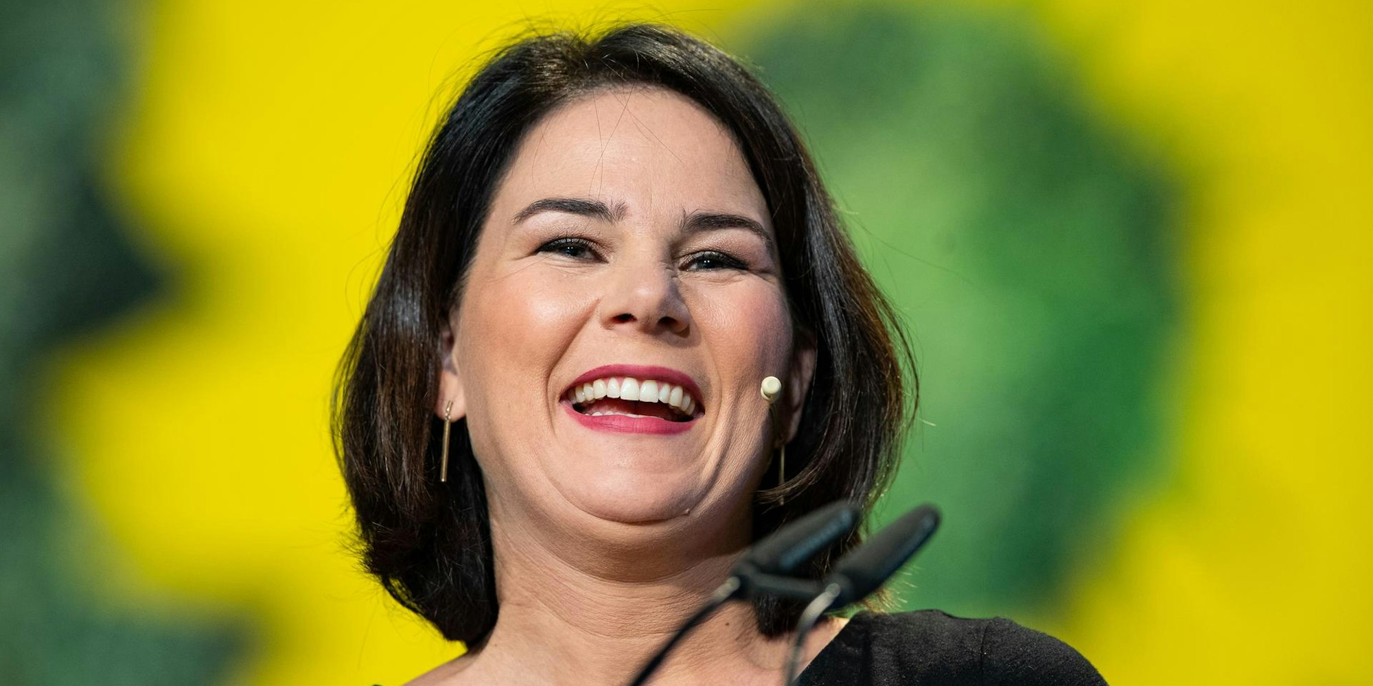 baerbock Grüne Chefin 161119