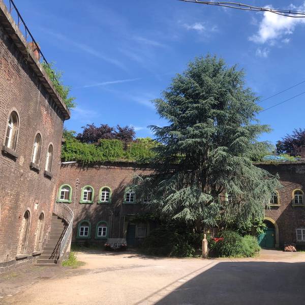 Neuer Inhalt (1)