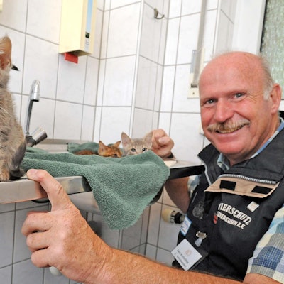 le-tierheim-leverkusen_(6)