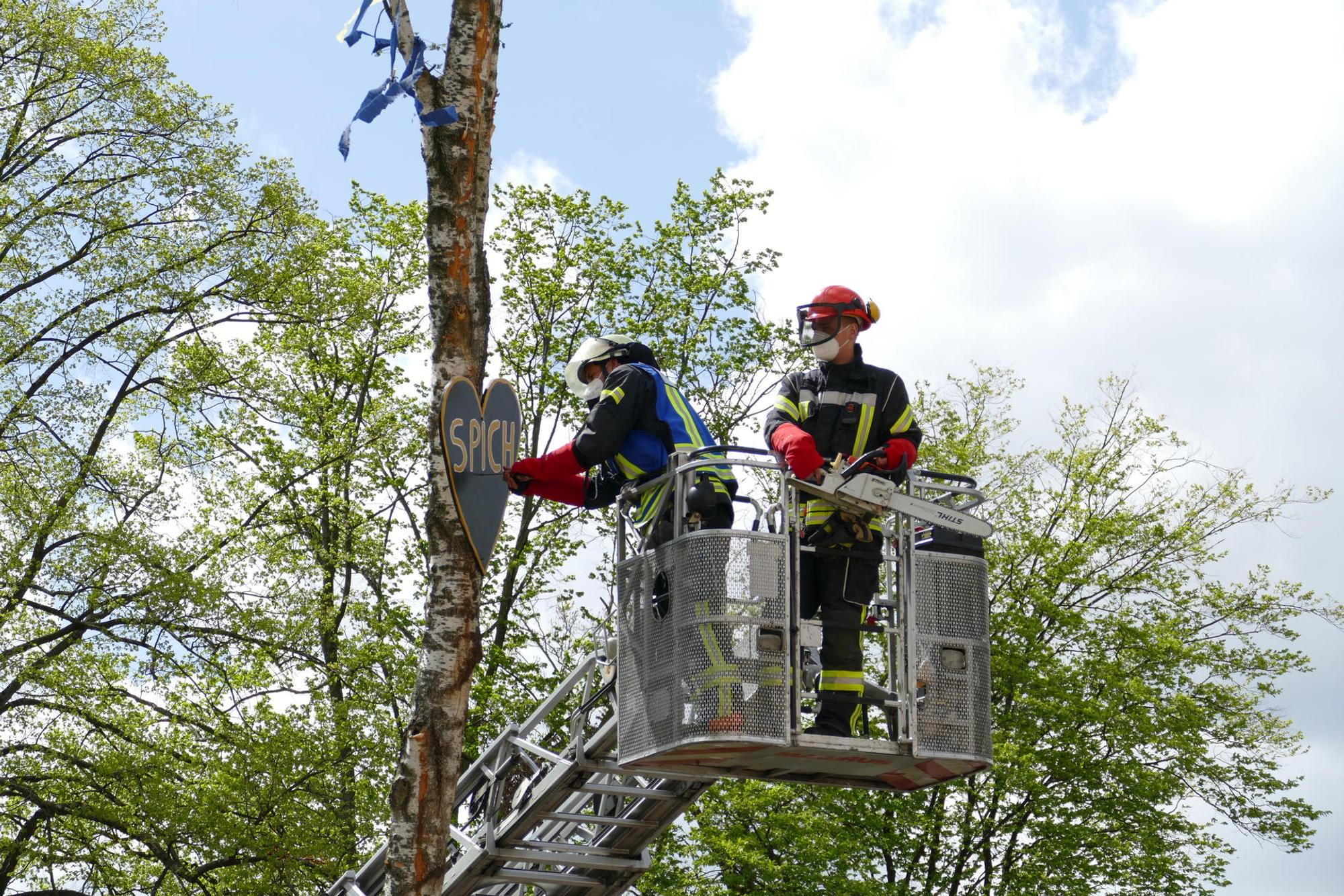 Maibaum Spich3