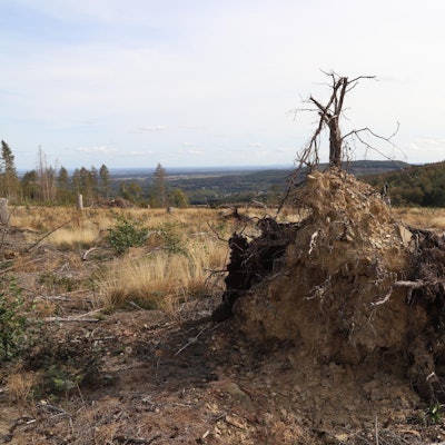 Klimawandel_Kreis_Euskirchen