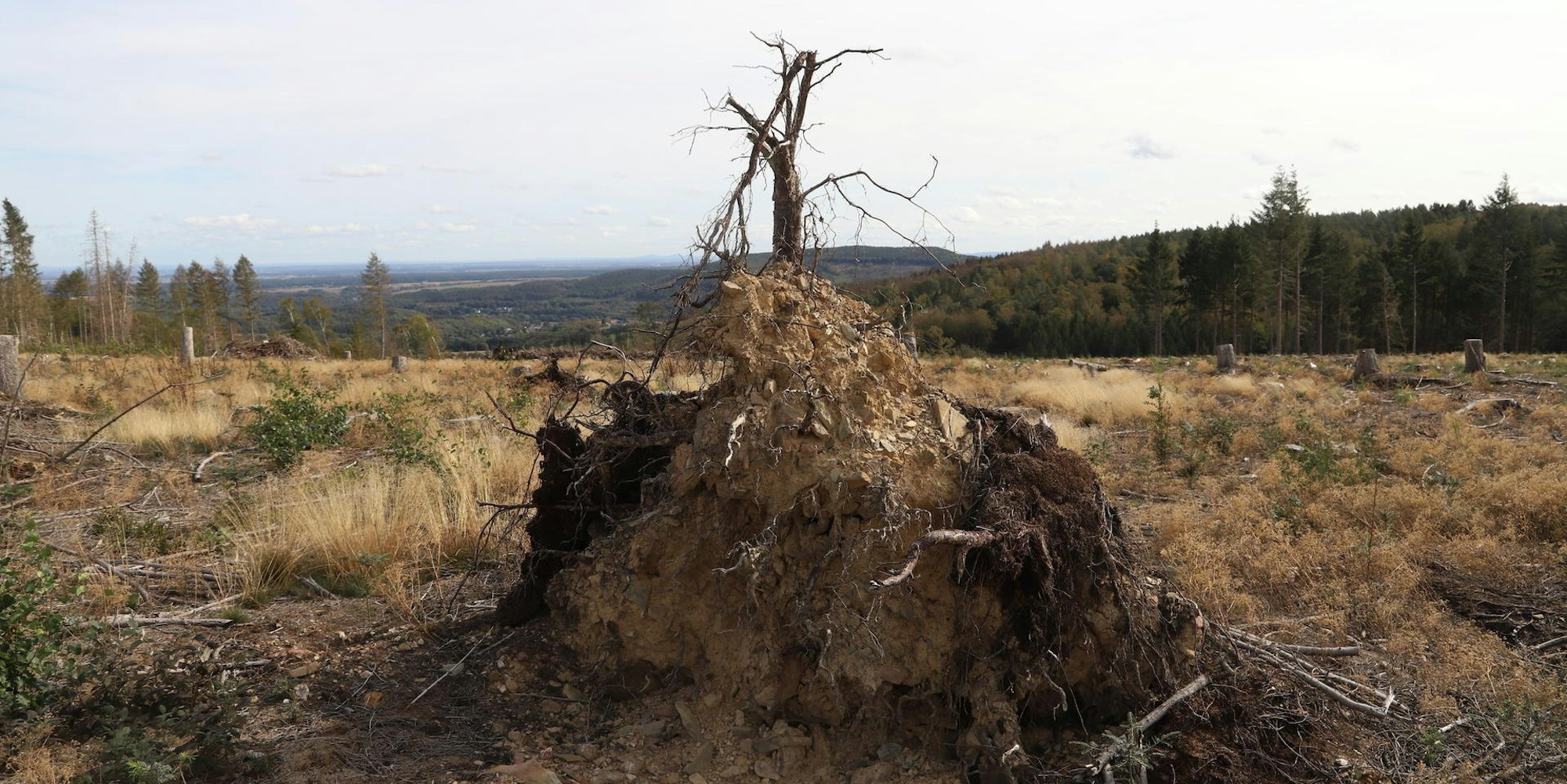 Klimawandel_Kreis_Euskirchen