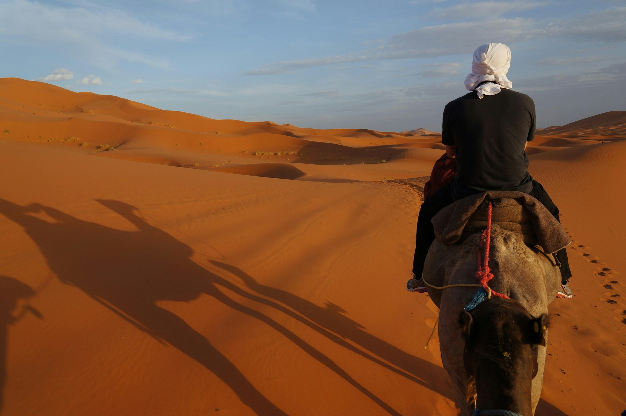 marokko_wueste_kamel_dpa