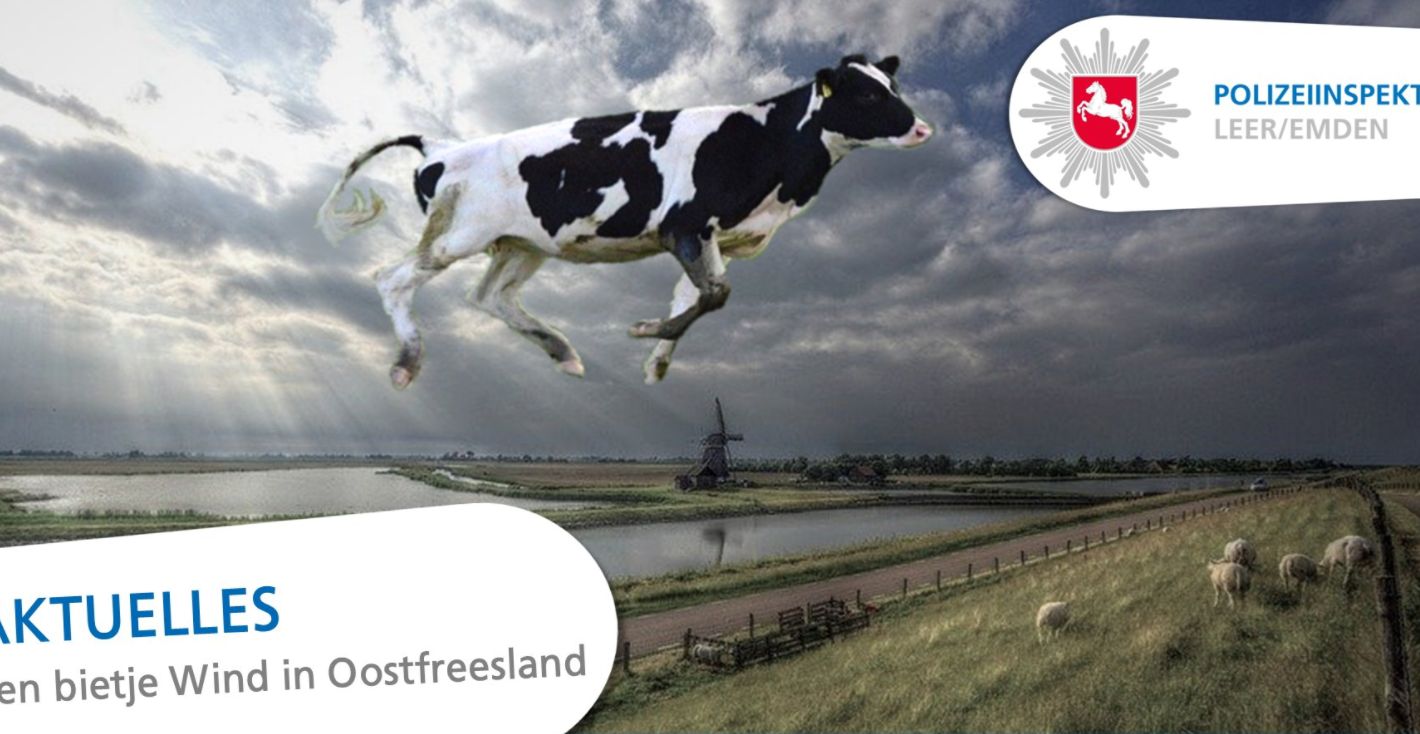 Bild Pol Emden