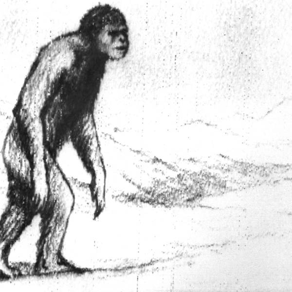 Foto Yeti