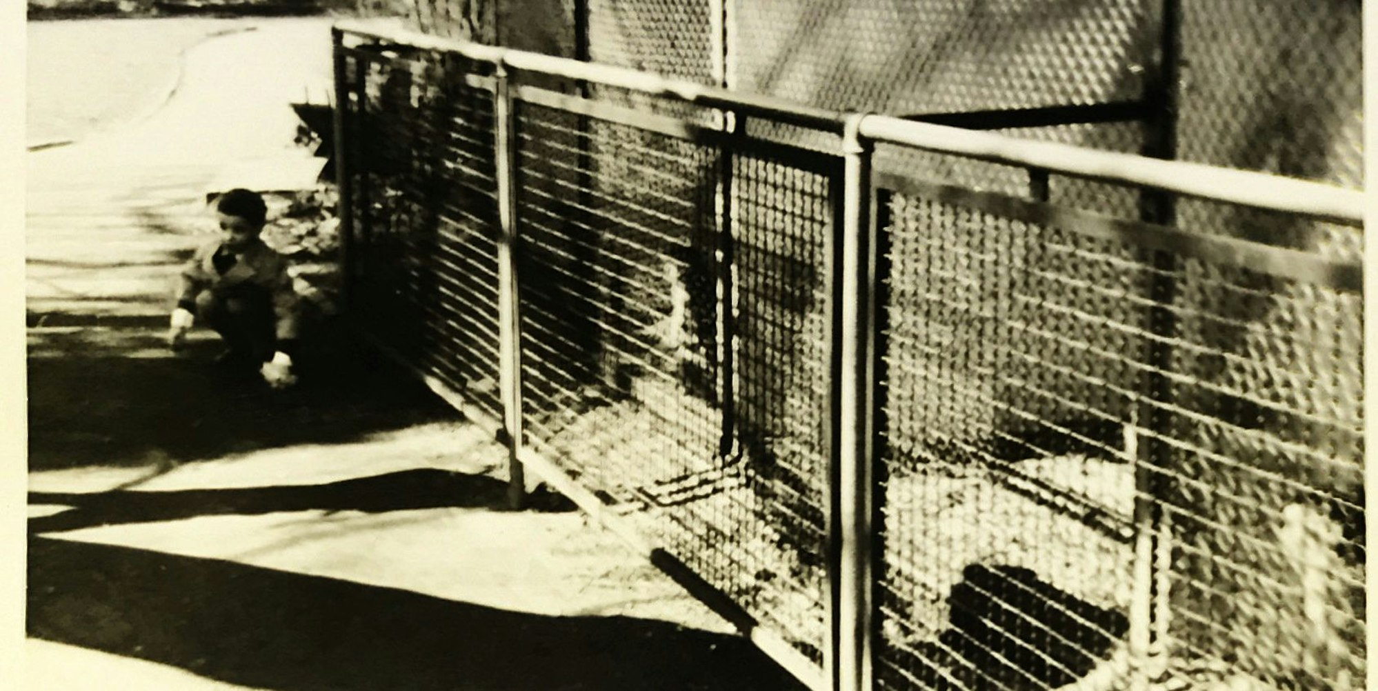 20220425-ber-affenzoo-stadtmauer-familie-steffen