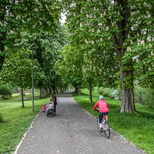 kastanienallee--ALF_3001