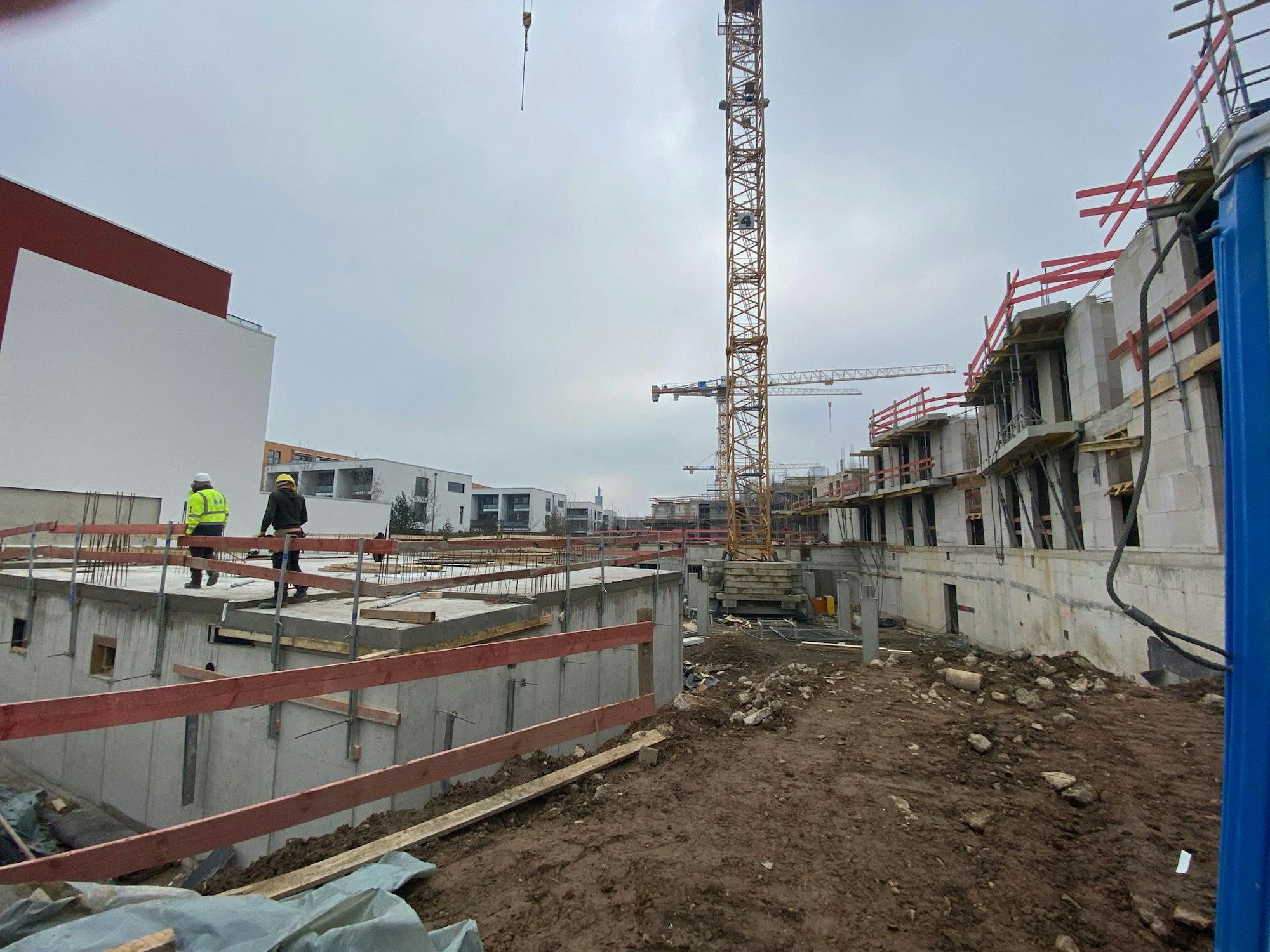 KS_Zollstock_Vorgebirgsgärten2