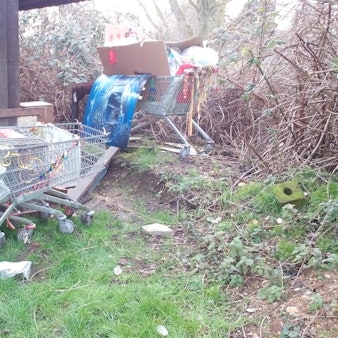 Einkaufswagen Naturschutzgebiet Erft