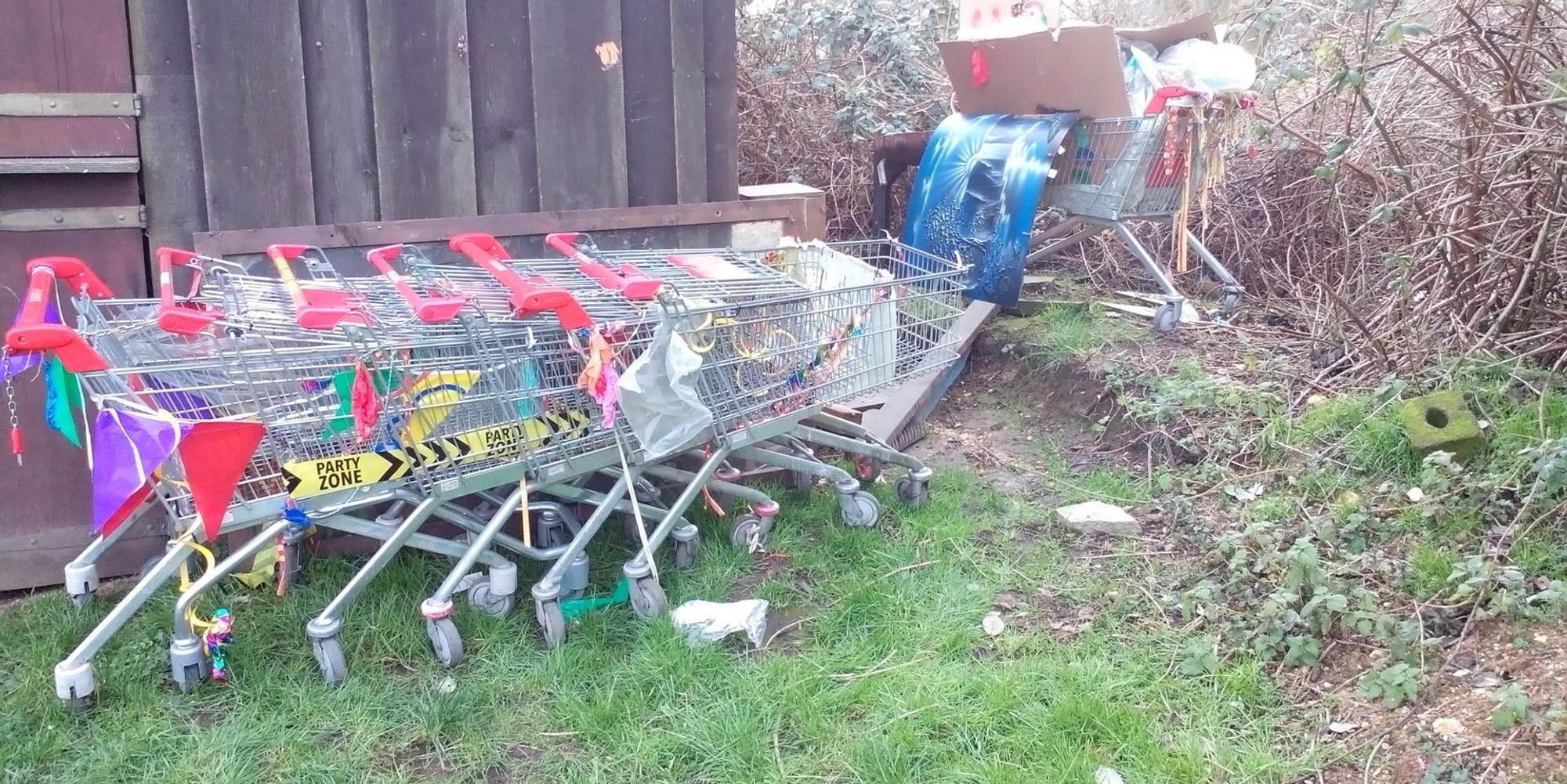 Einkaufswagen Naturschutzgebiet Erft