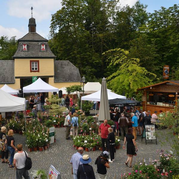 Rosenfest_Eulenbroich