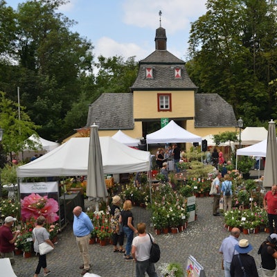 Rosenfest_Eulenbroich