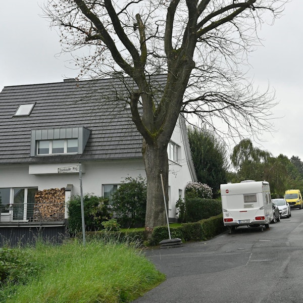 Baumfällung Rösrath Hasbacher Straße