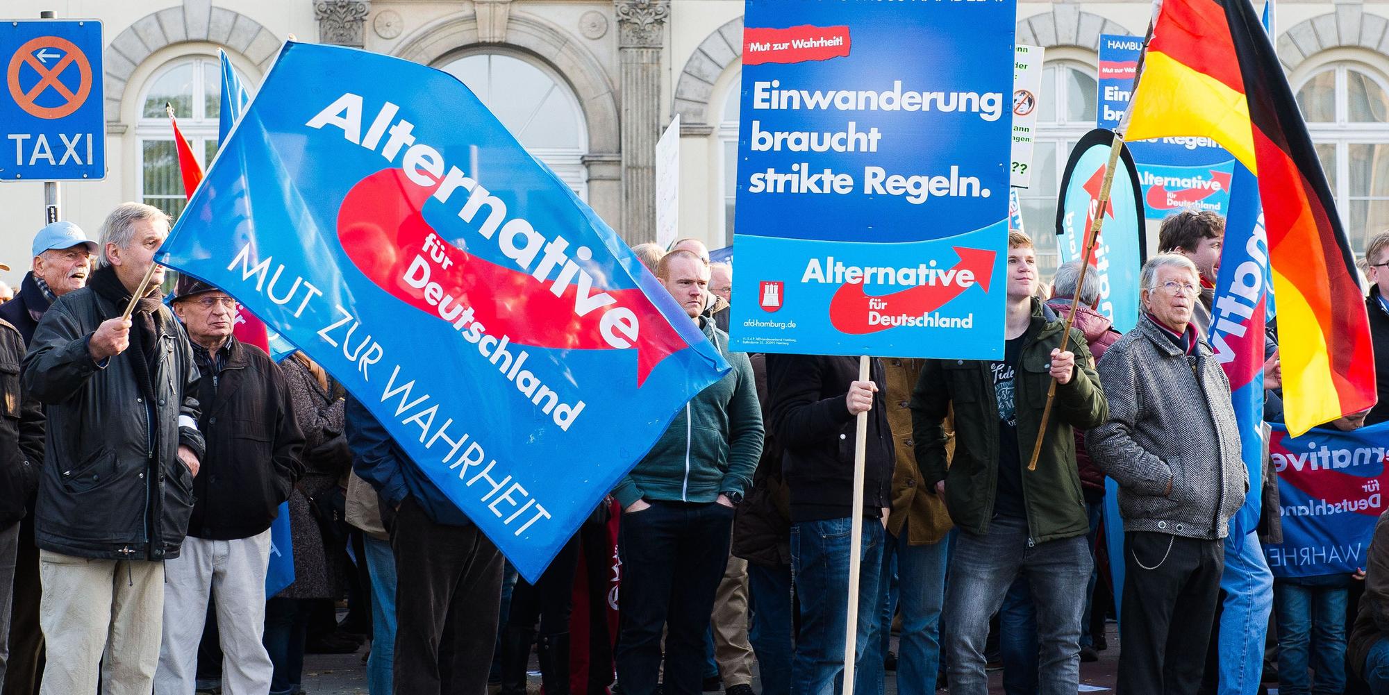Bild AfD
