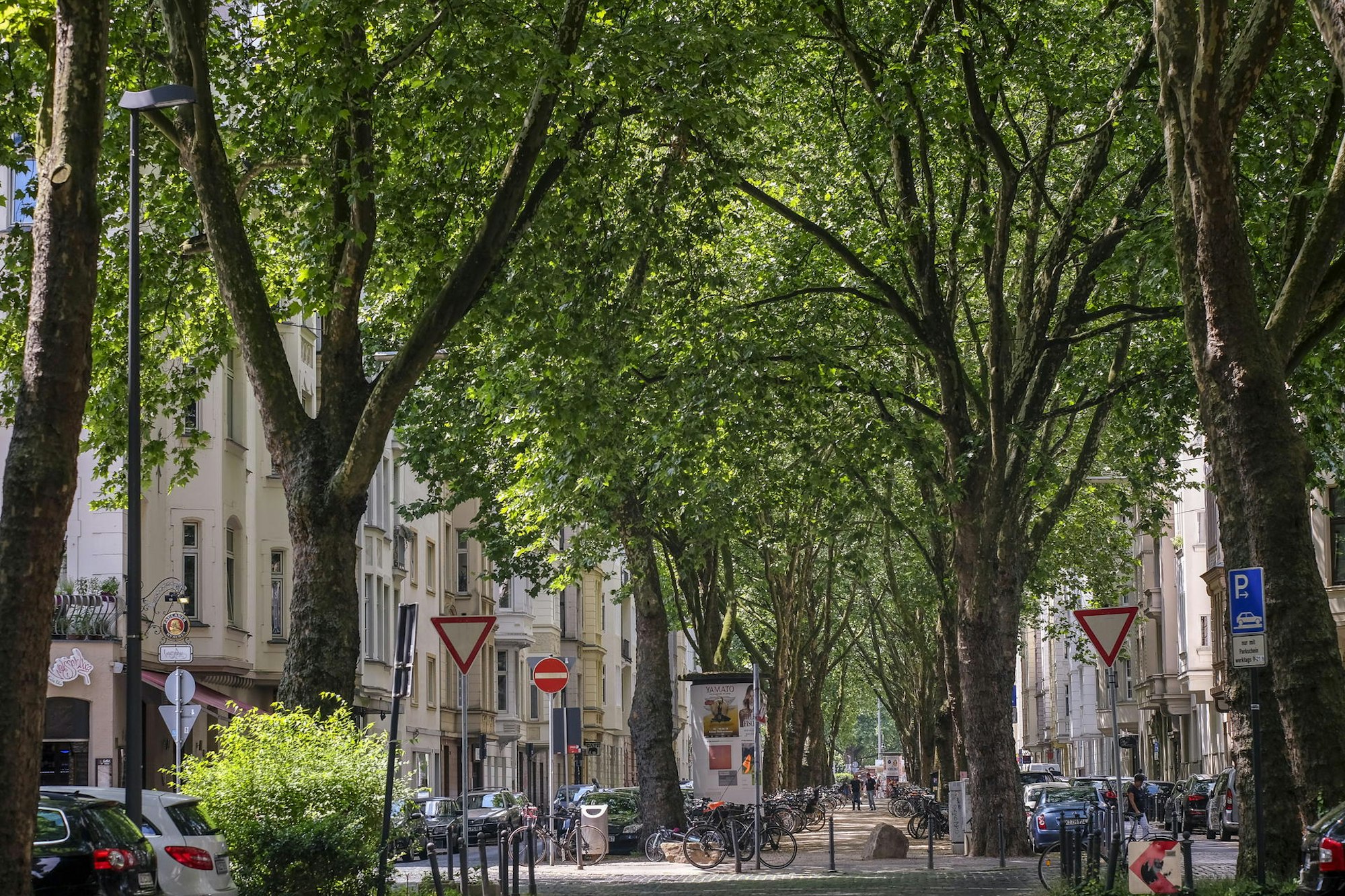 20180604_Agnes_HGM_20