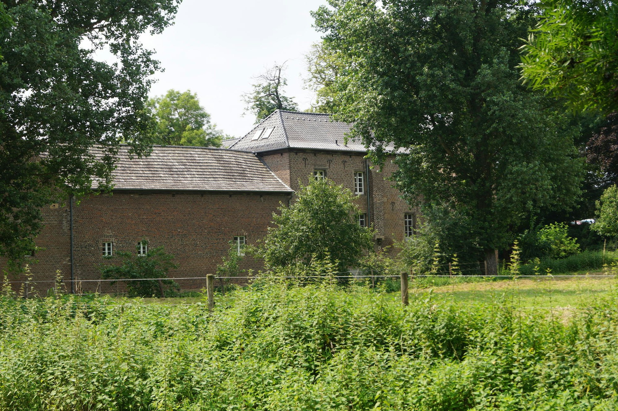 DSC08628 BILD 8
