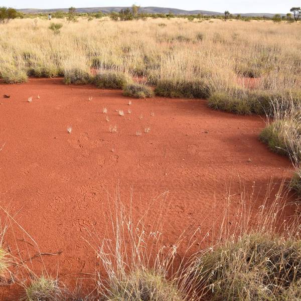 Outback Australien