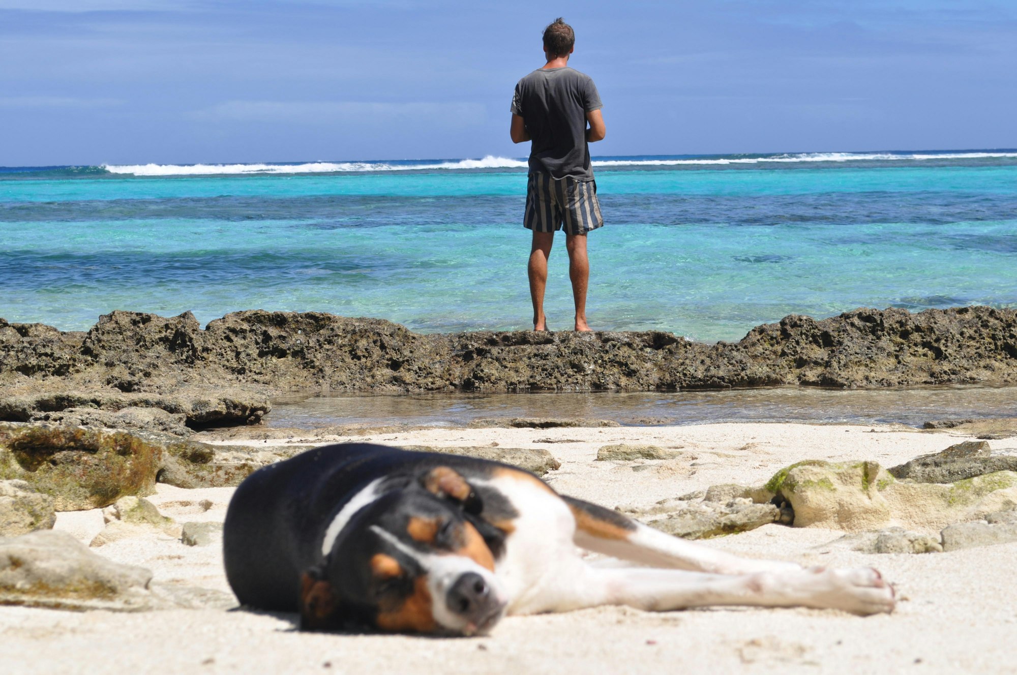 Adrian, Sunday (c) Hoffmann