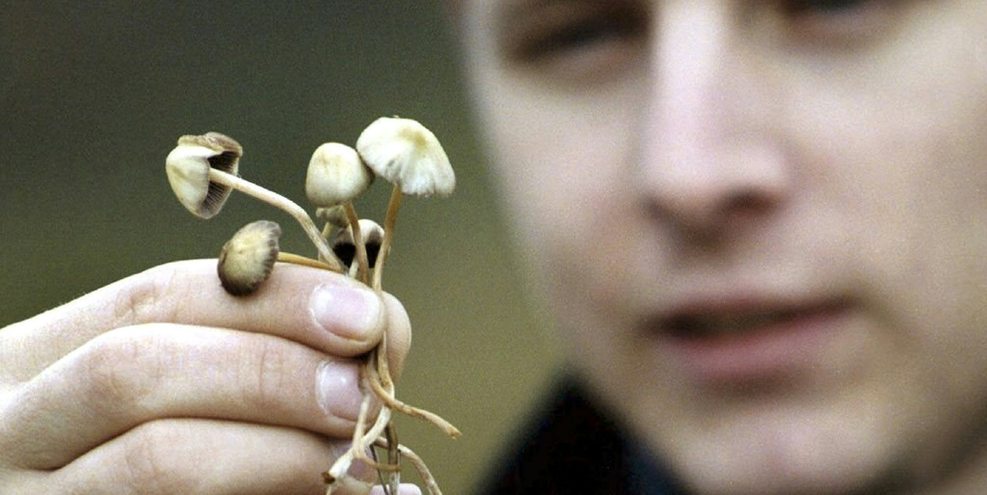 Rausch_aus_dem_Gewue_17992295