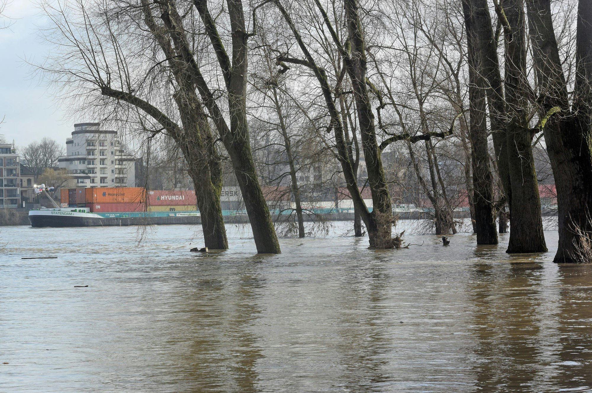 Hochwasser bei Köln