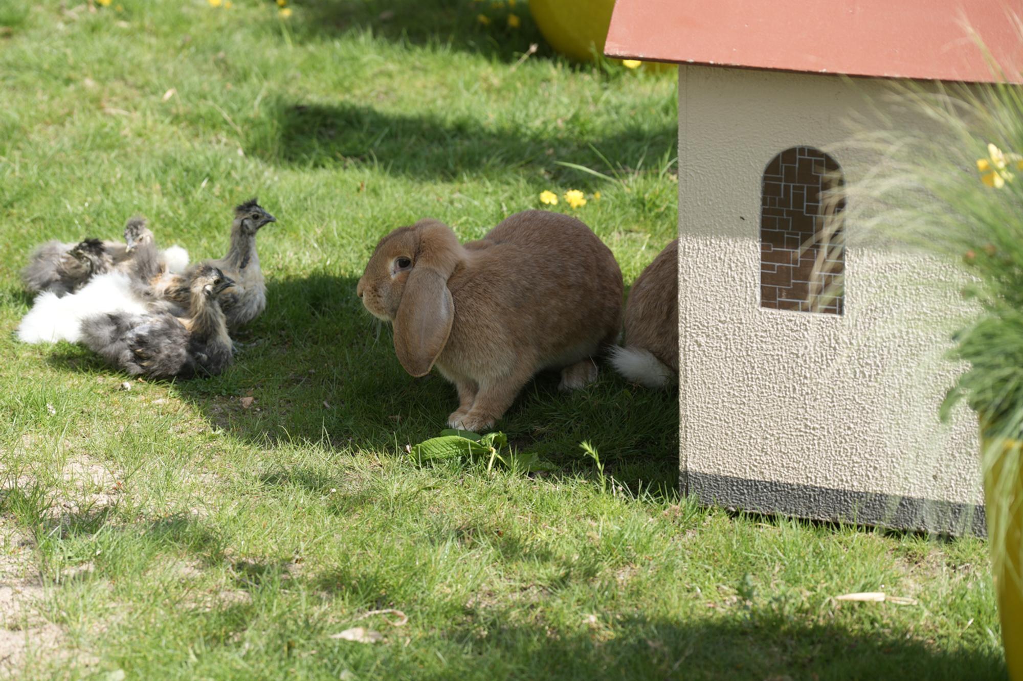 Ostern im Kölner Zoo