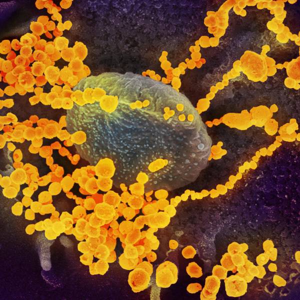 coronavirus-symbol