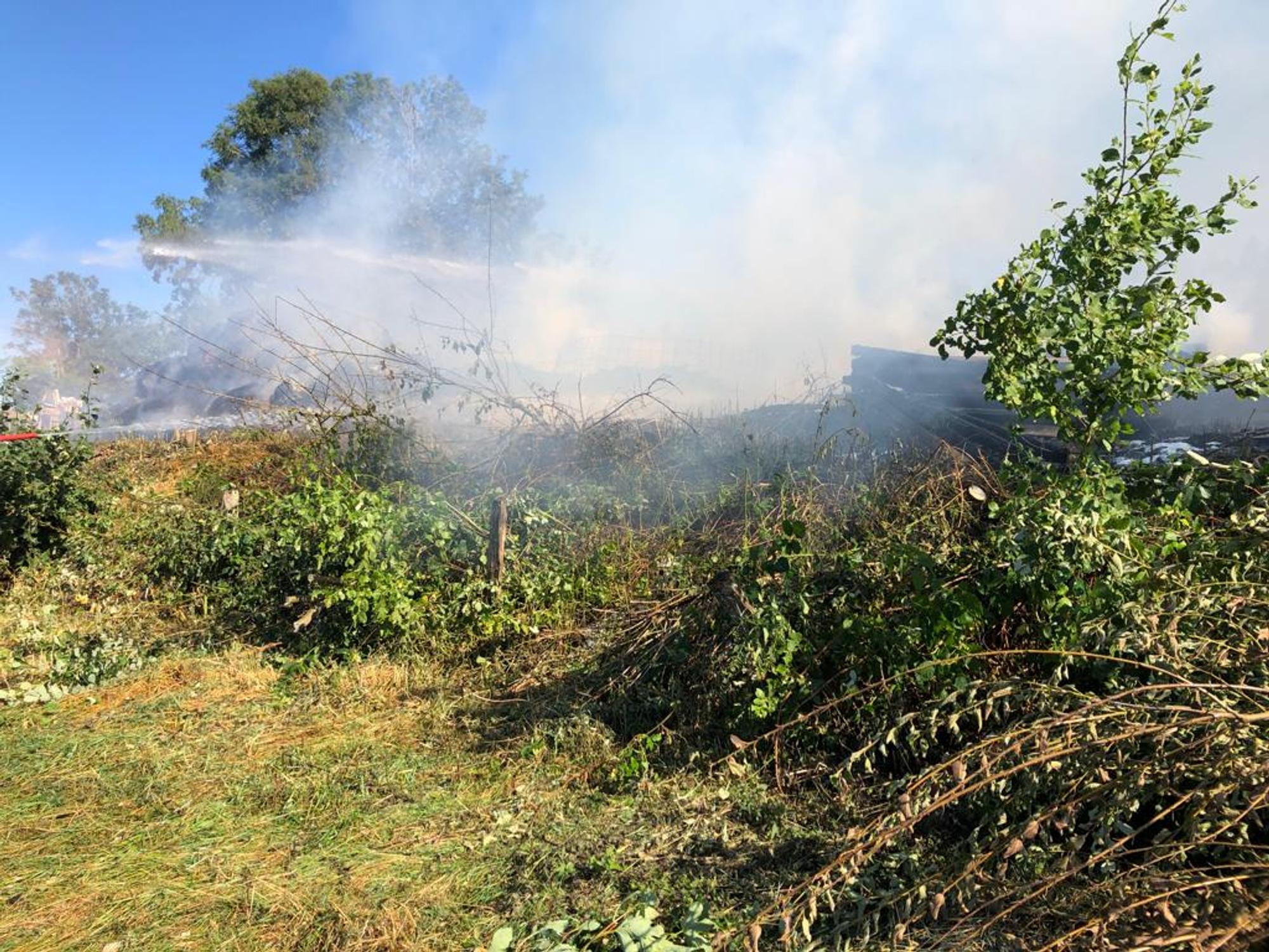 Brand Neuhaus (1)