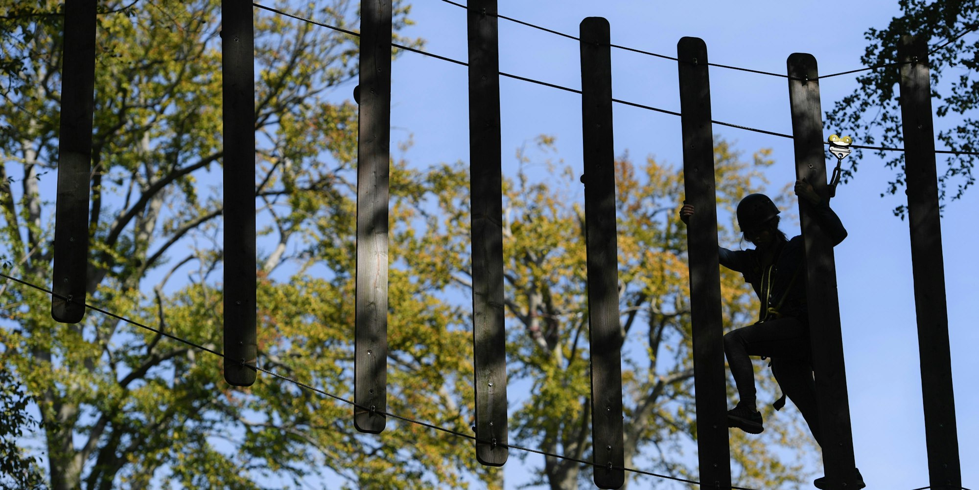 Kletterwald Symbolbild