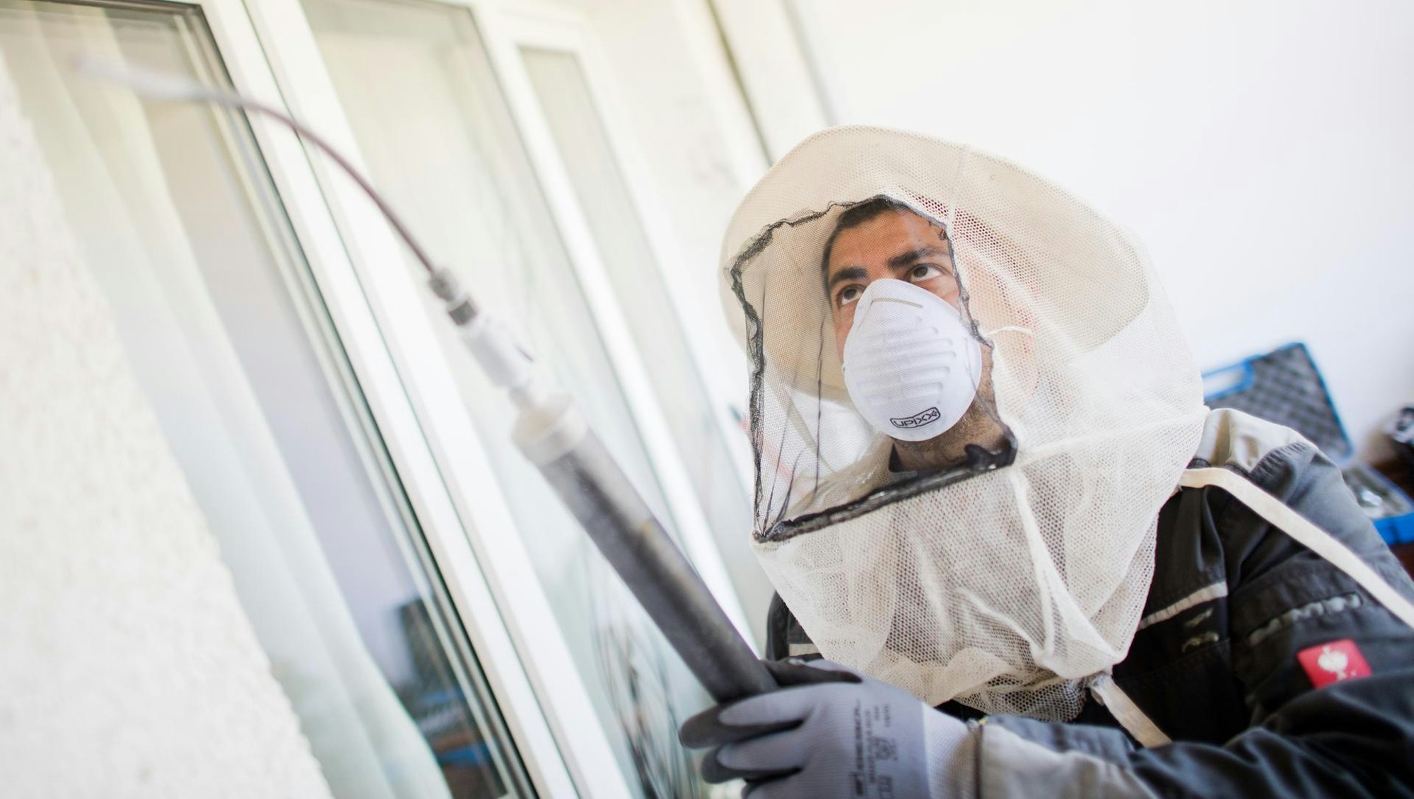 Kammerjäger beim Wespen entfernen