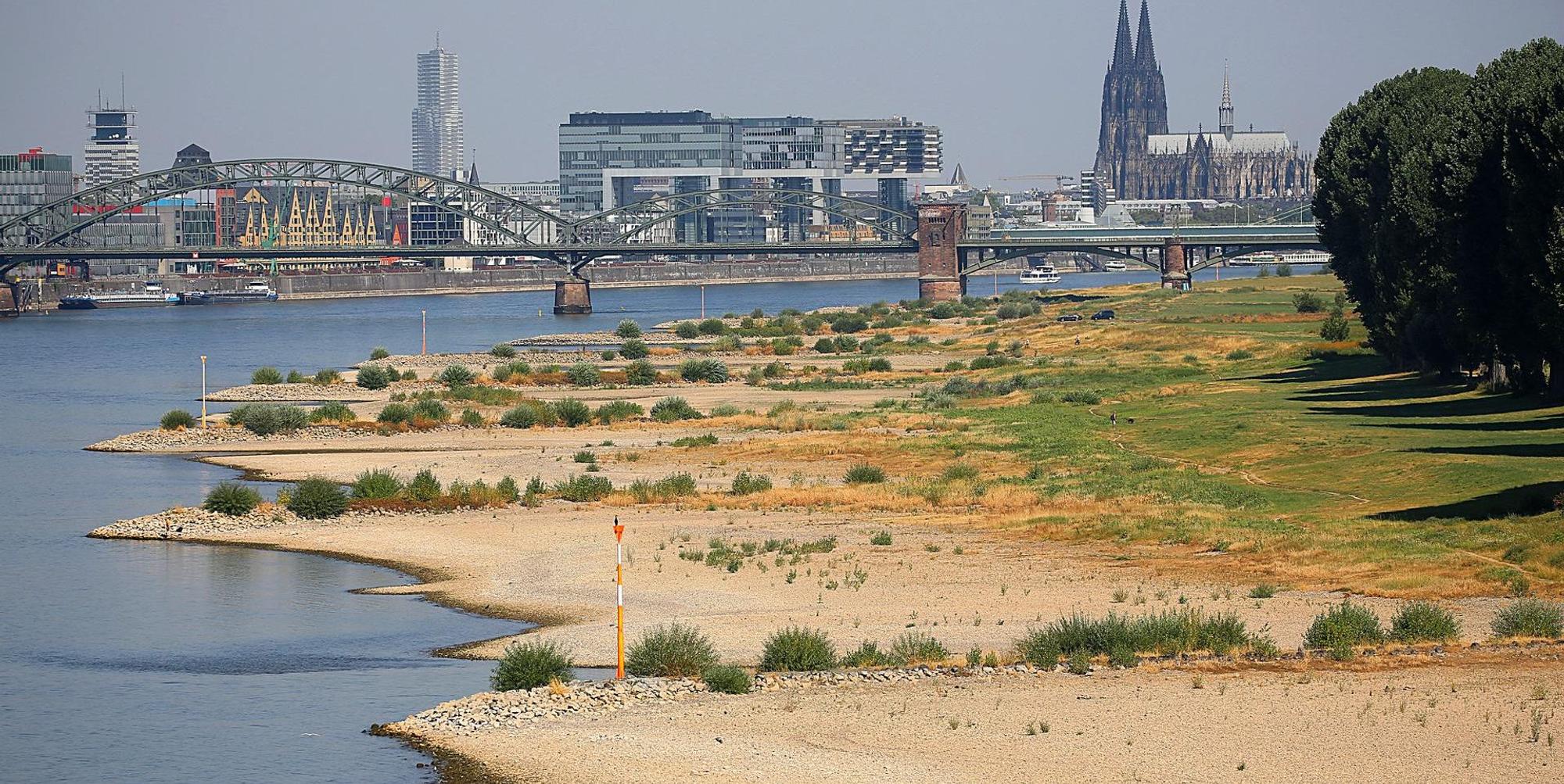 Niedrigwasser Rhein dpa