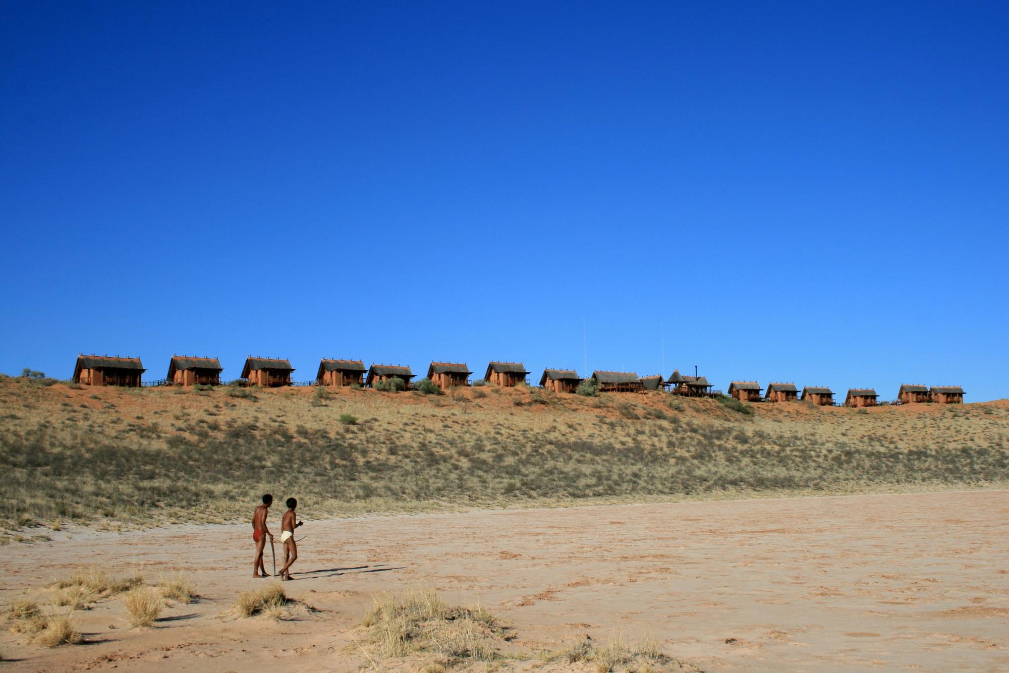 Kalahari_Wüste_Tiere