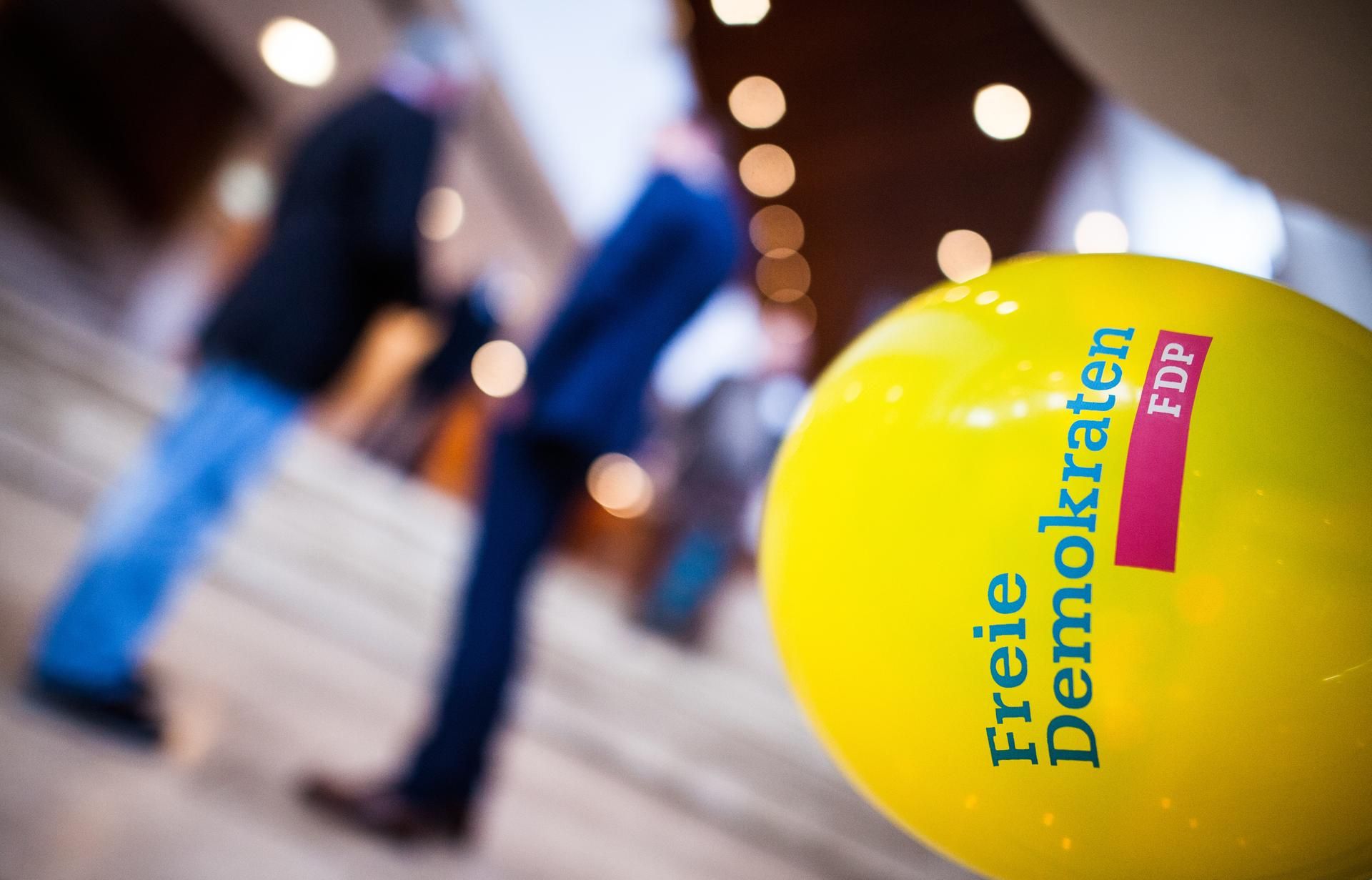 FDP Symbolbild dpa 251019