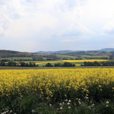 Wanderung Vier-Dörfer-Weg Blick auf Hocheifel