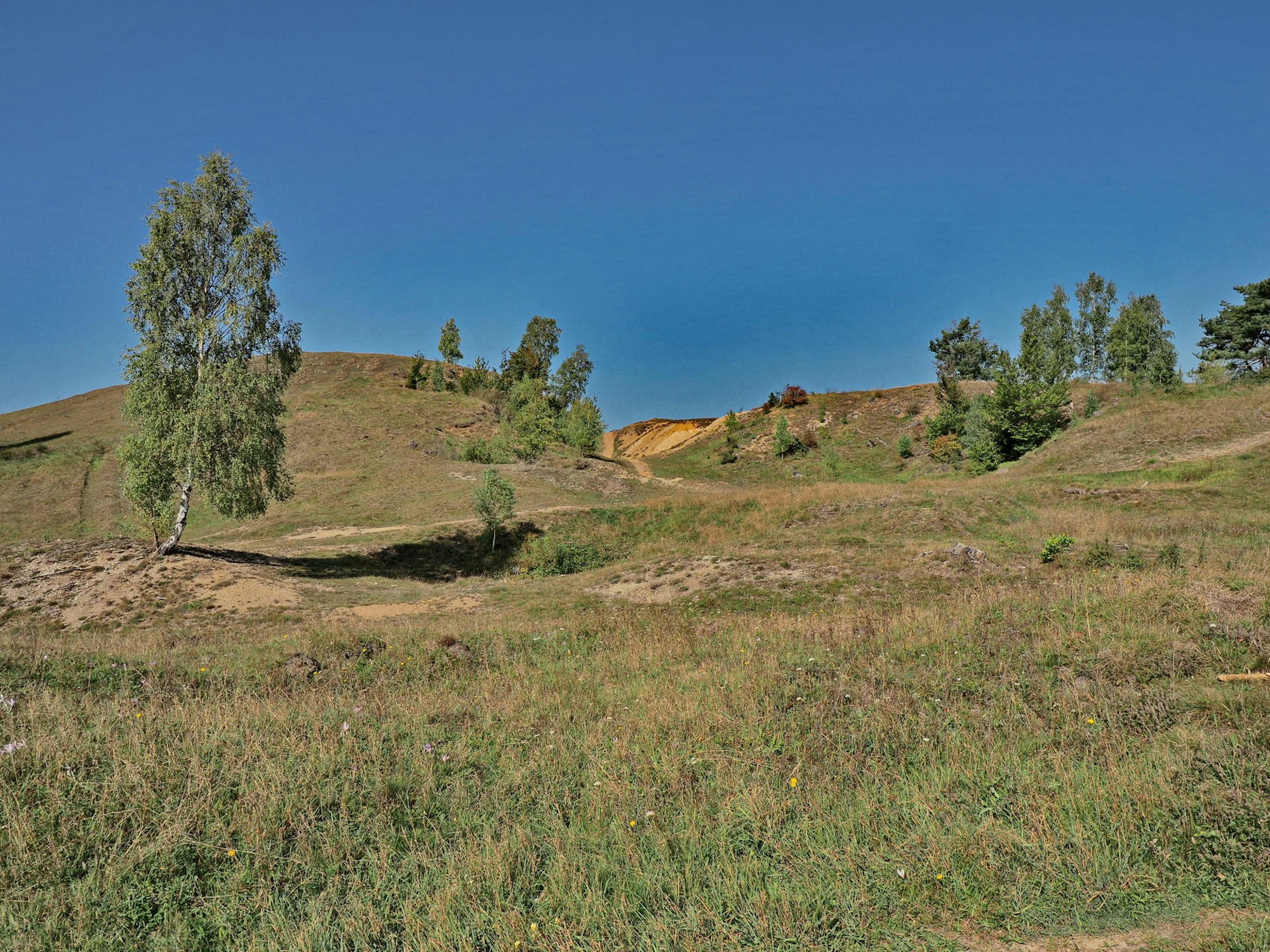 SVL24169GeoExk_Eifel3_Wanderung10