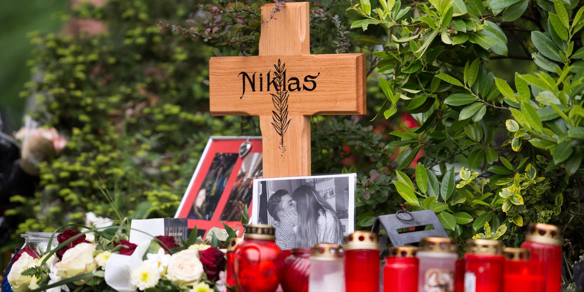 Niklas (3)