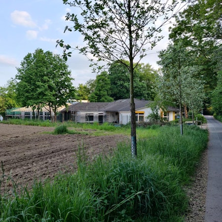 Eicherhofsfeld