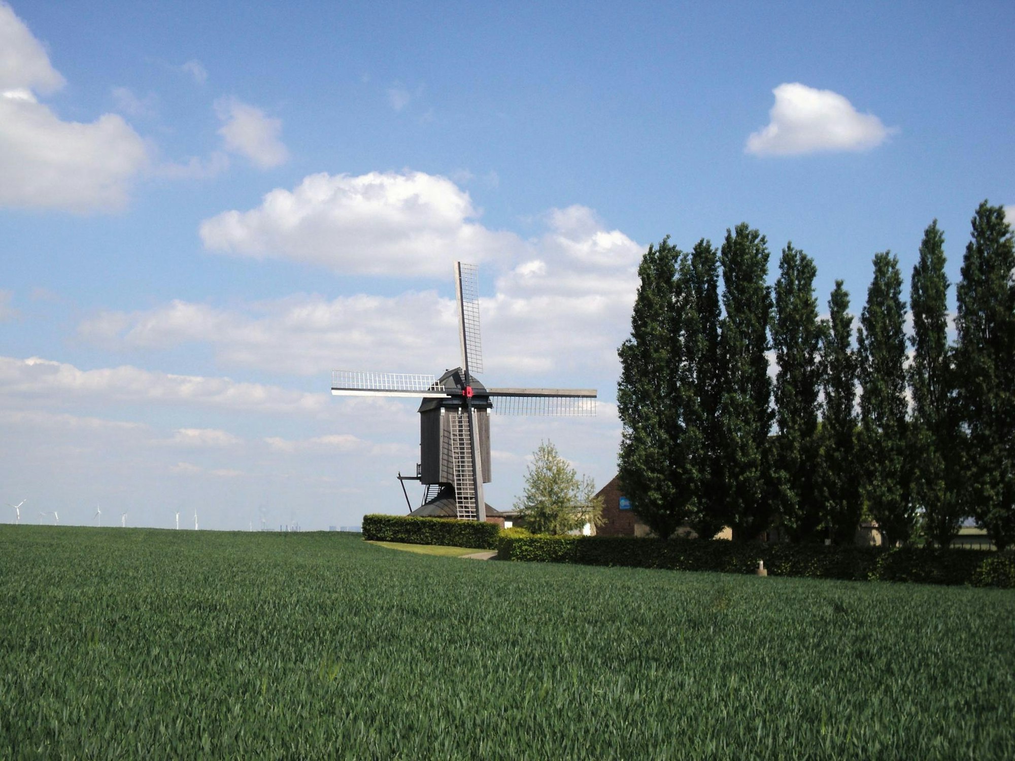 Etappe05 - 08a_Bockwindmuehle Dueppelsmuehle bei TitzNUR_MIT_BUCH_VERWENDEN