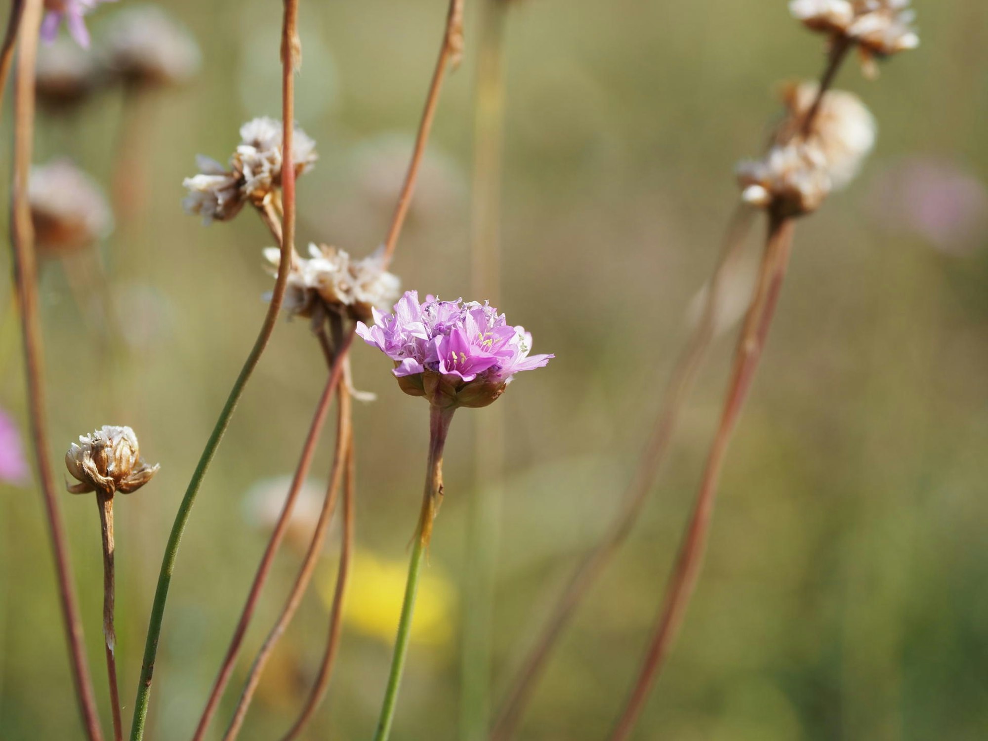 SVL24175GeoExk_Eifel3_Wanderung10