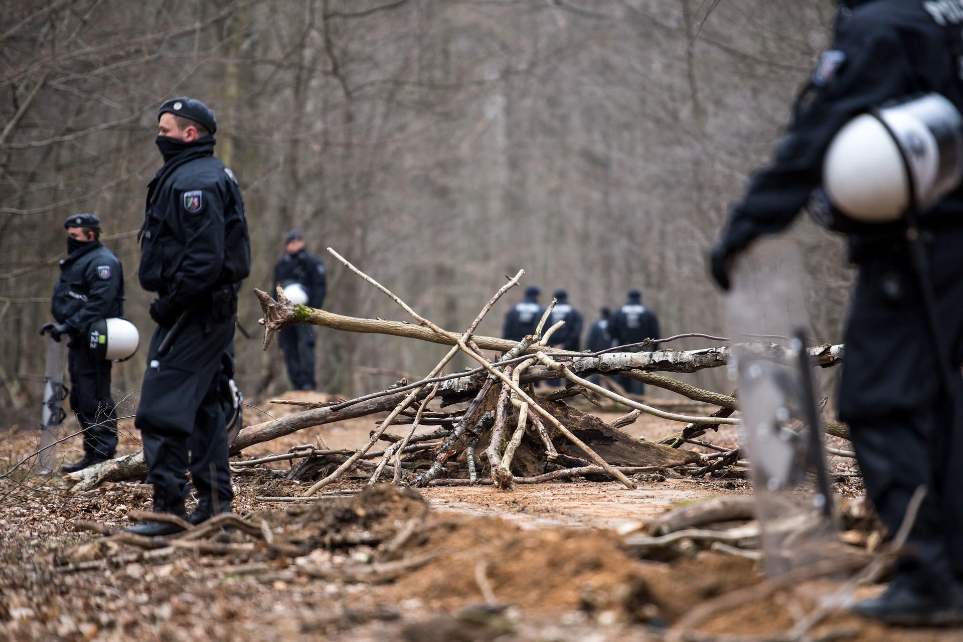Hambacher Forst dpa