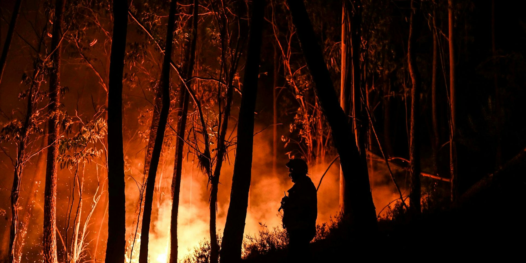 Portugal Waldbrände 110722