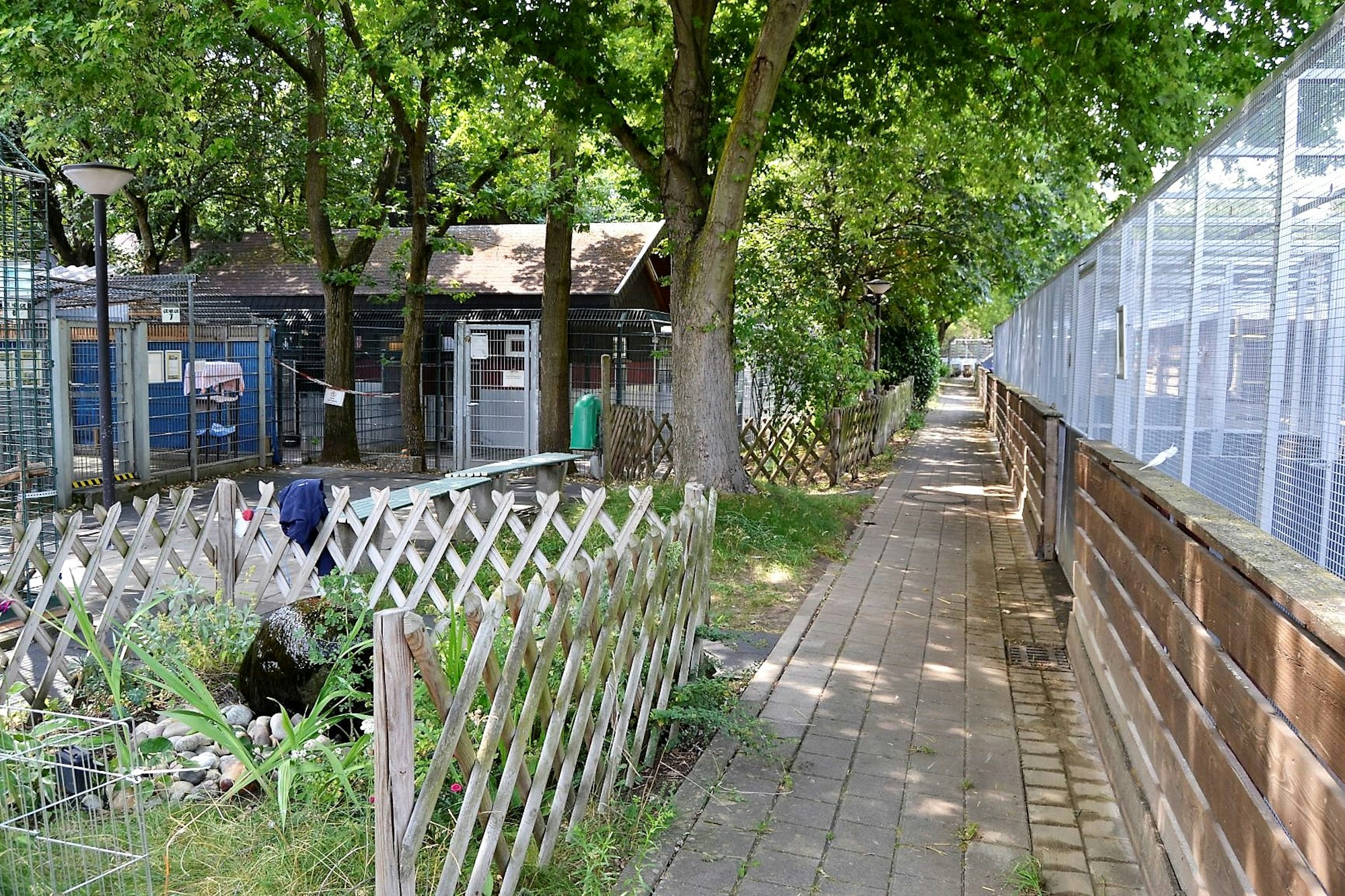 Zollstock_Tierheim_3