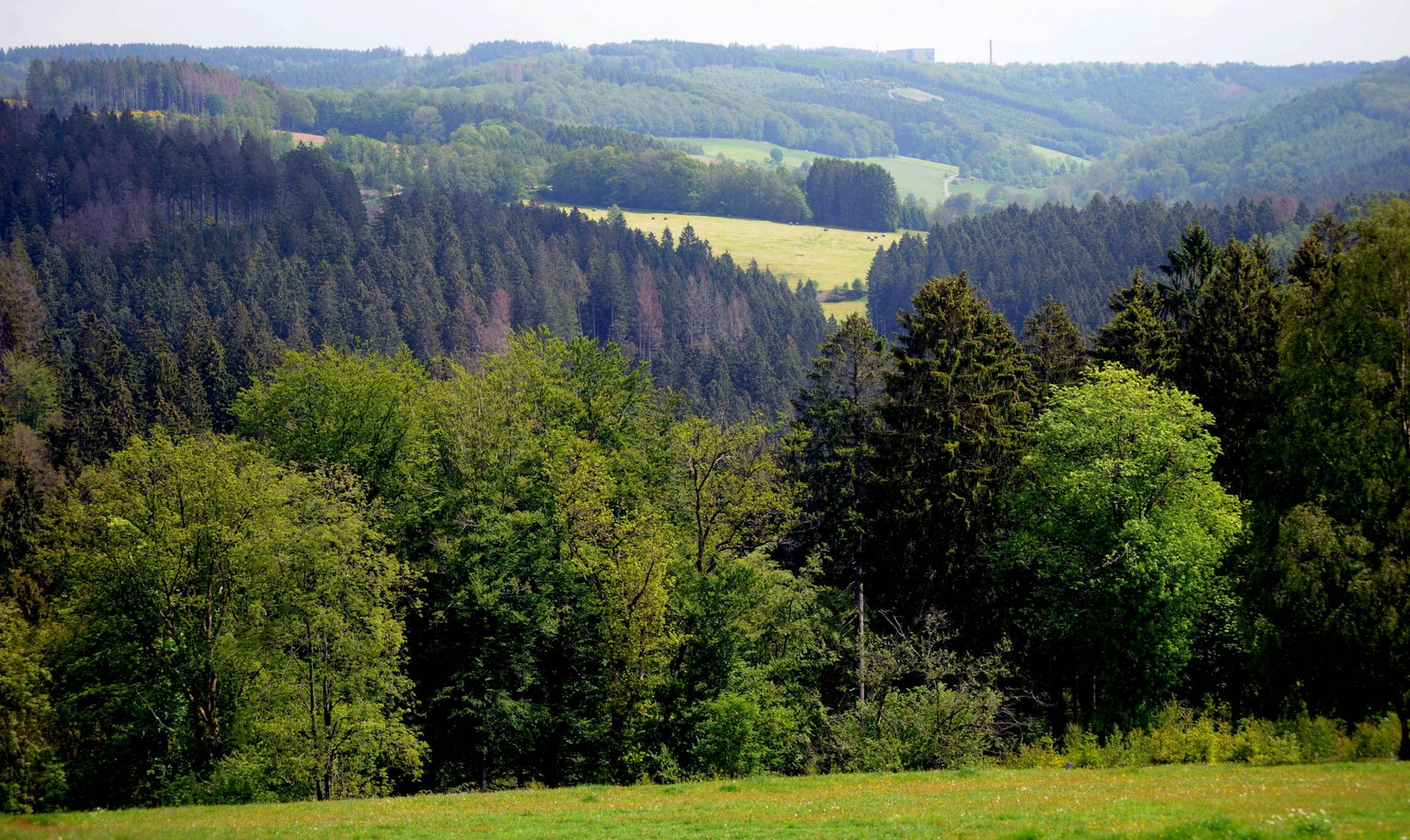 290519Rheinland-Lutherweg15