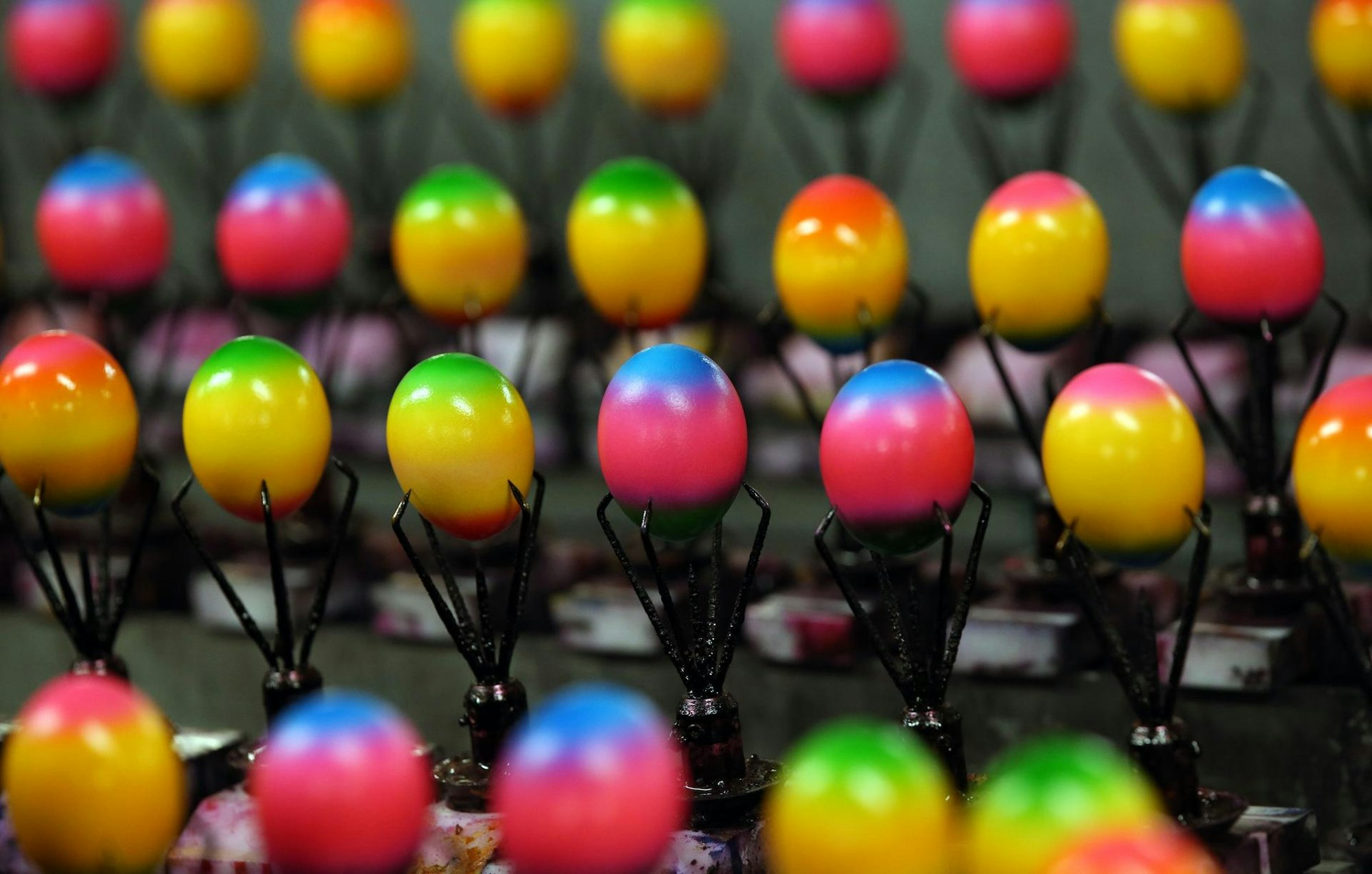 gefaerbte_Eier_im_Supermarkt