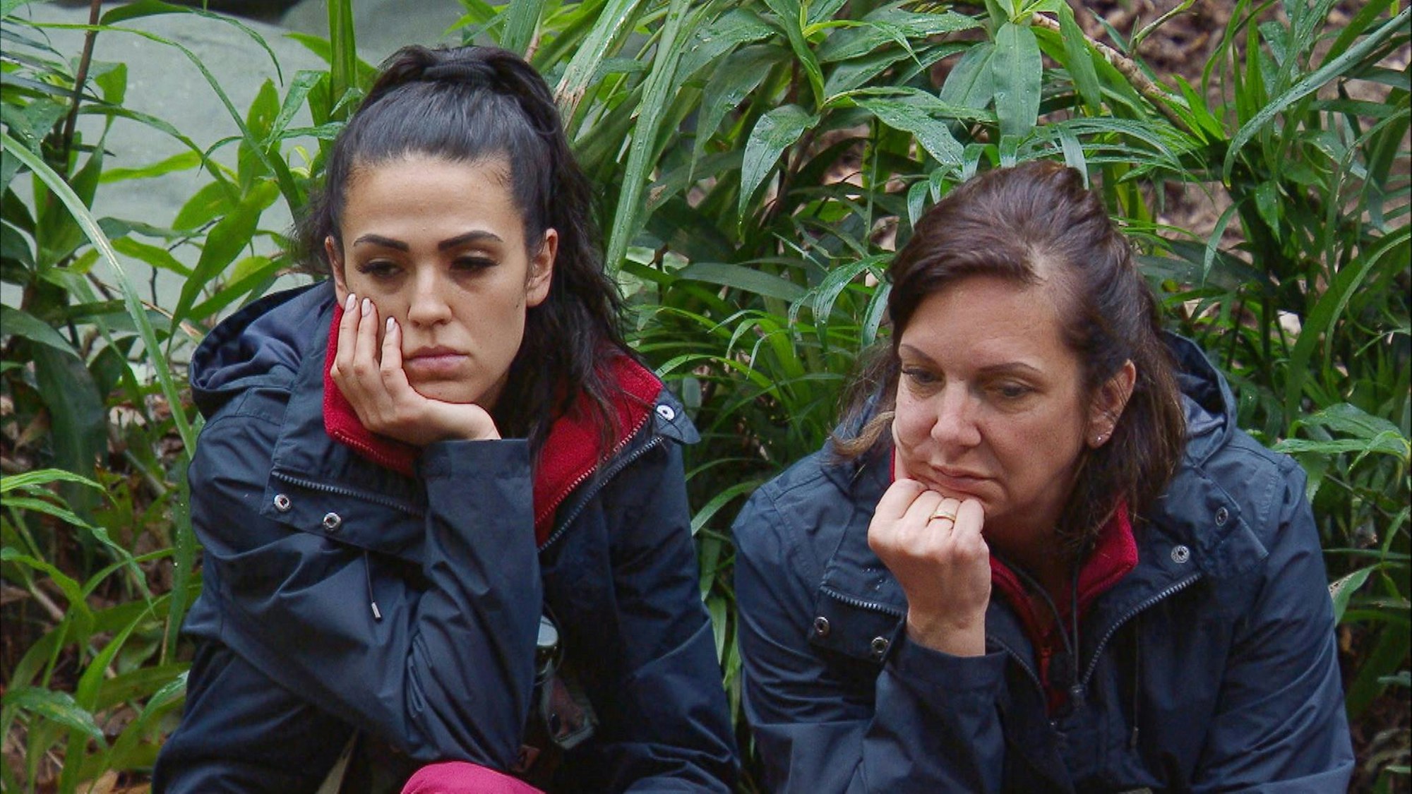 Dschungel Elena Danni